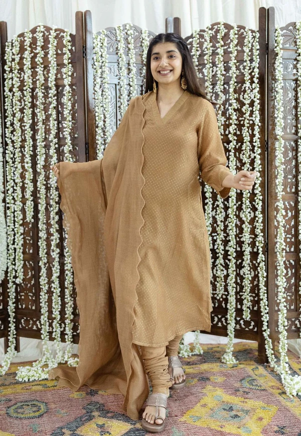 Brown Rogan Chanderi Silk A Line Kurta Set (Set of 3)